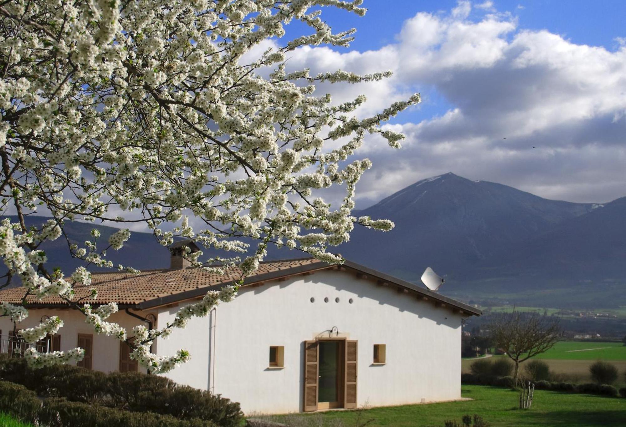 Agriturismo La Cascina Di Opaco 노르시아 외부 사진