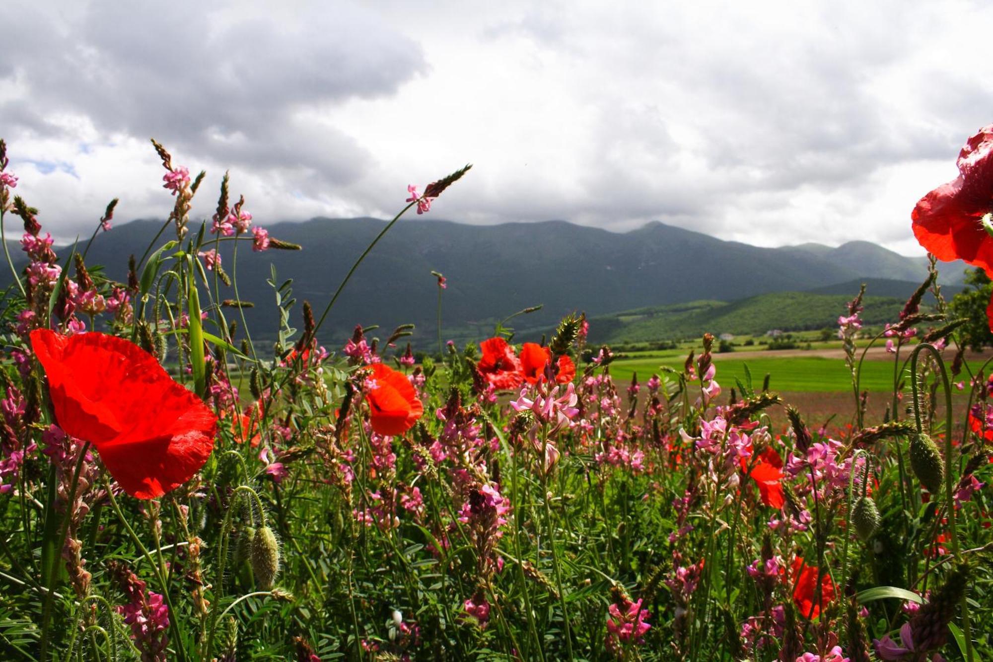 Agriturismo La Cascina Di Opaco 노르시아 외부 사진