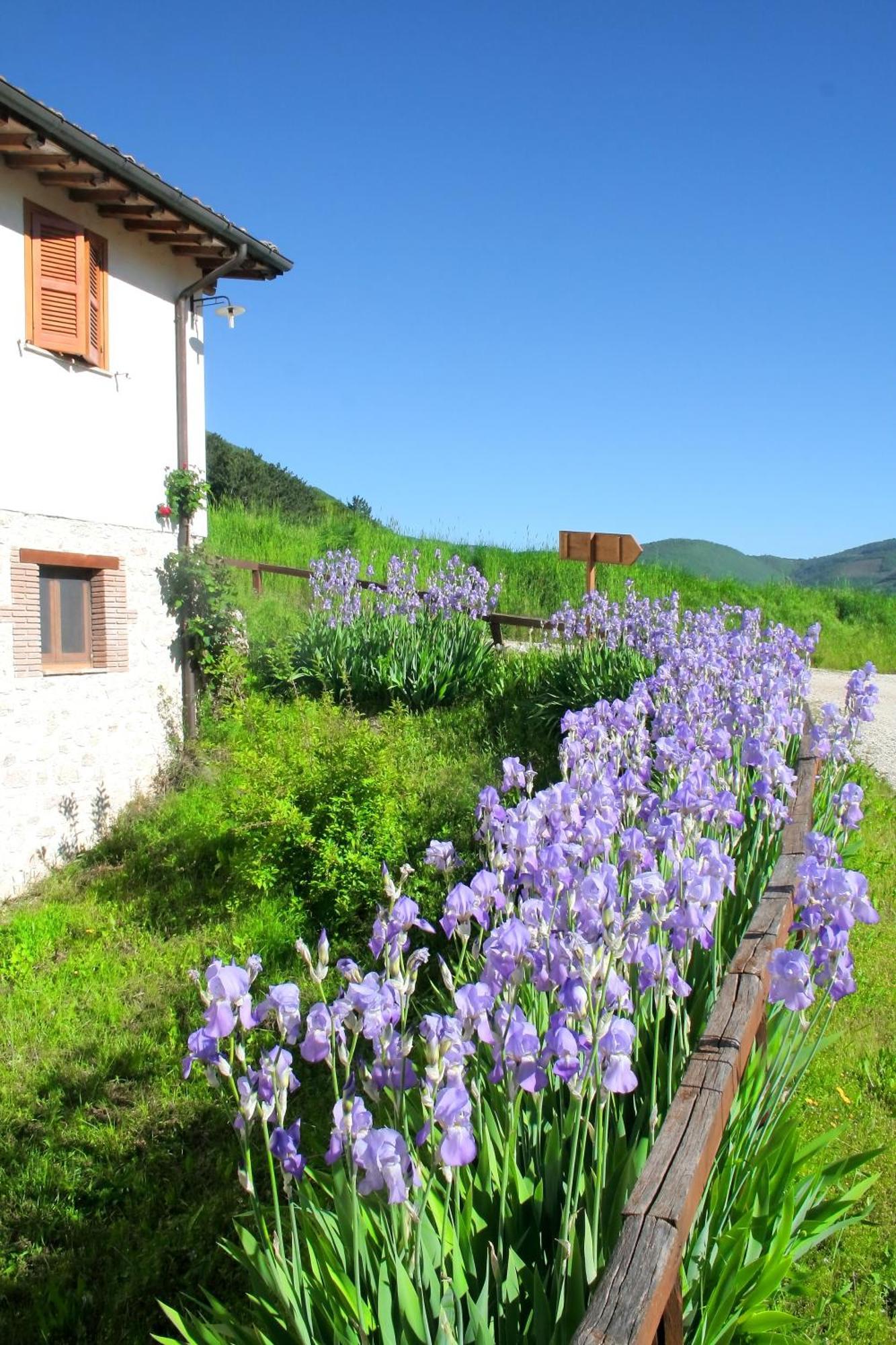 Agriturismo La Cascina Di Opaco 노르시아 외부 사진